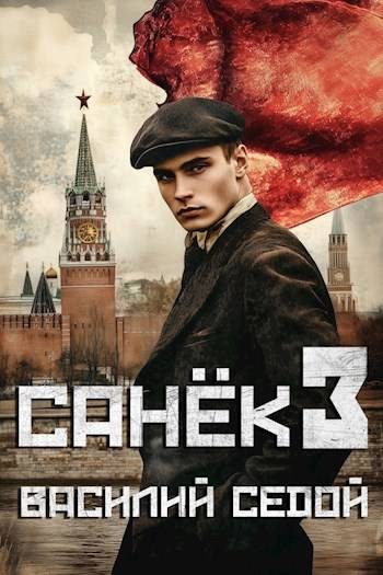 Обложка книги «Санек 3»