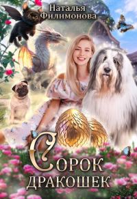 Обложка книги «Сорок дракошек»