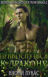 Обложка книги «Прикоснуться к дракону»