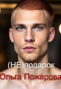 Обложка книги «(не)подарок»