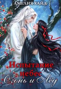 Обложка книги «Испытание небес. Огонь и Лёд»