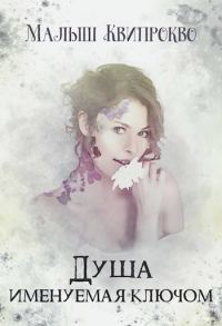 Обложка книги «Душа, именуемая ключом»