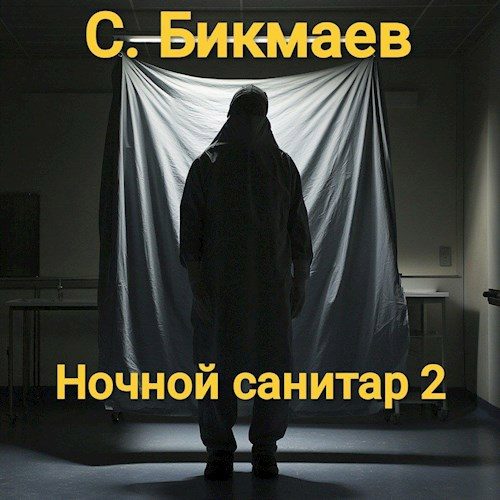 Обложка книги «Ночной санитар 2»