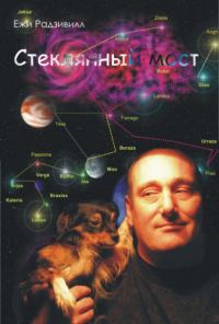Обложка книги «Стеклянный мост»