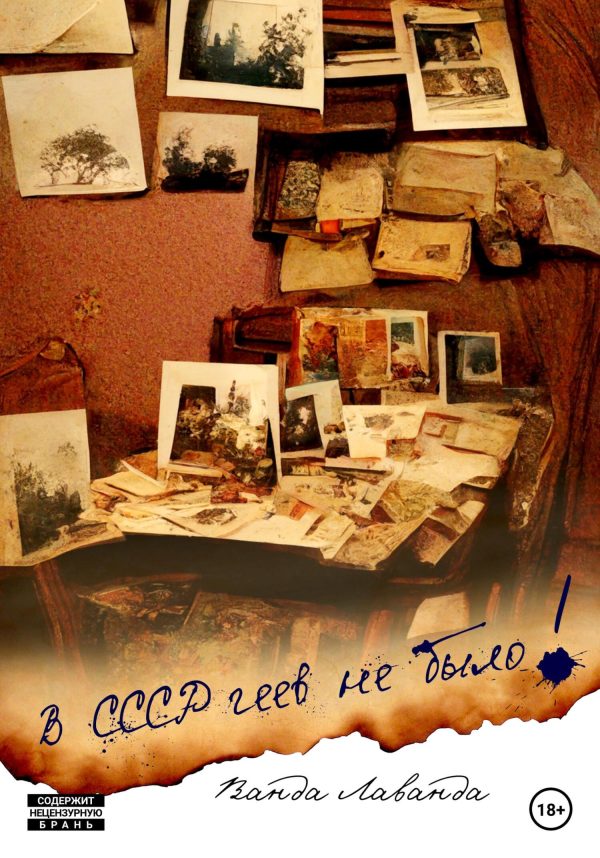 Обложка книги «В СССР геев не было!»