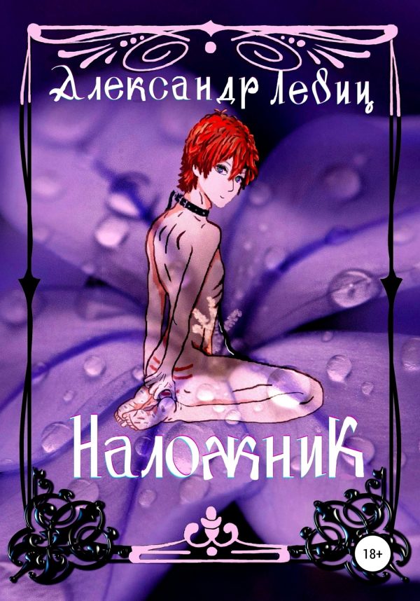 Обложка книги «Наложник»