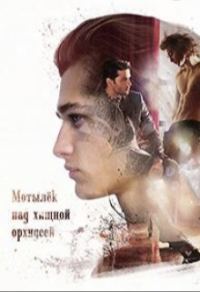 Обложка книги «Мотылёк над хищной орхидеей»