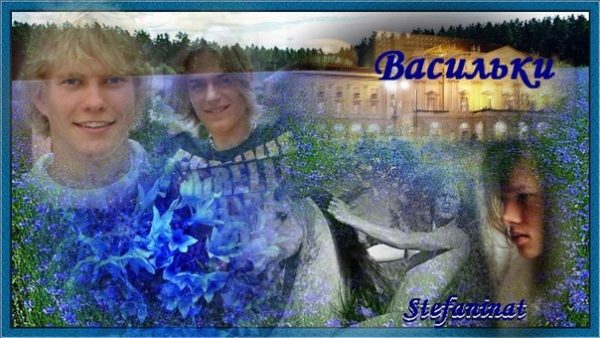 Обложка книги «Васильки (СИ)»