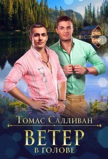 Обложка книги «Ветер в голове»