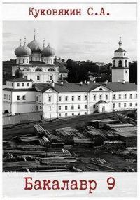 Обложка книги «Бакалавр 9»