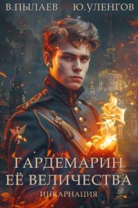 Обложка книги «Инкарнация»