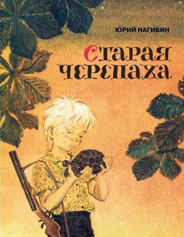 Обложка книги «Старая черепаха»
