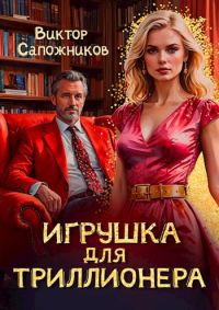 Обложка книги «Игрушка для триллионера»