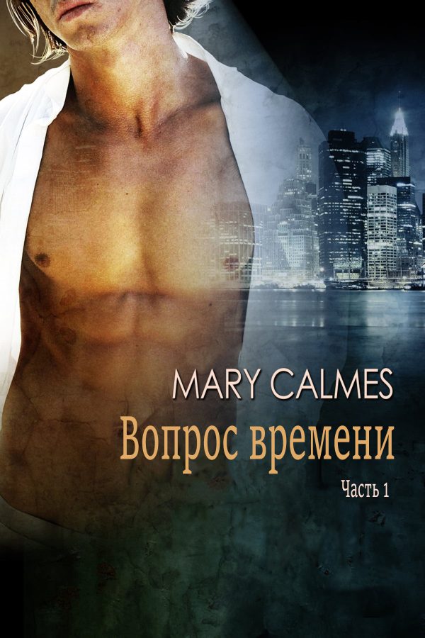 Обложка книги «Вопрос времени. Часть 1»