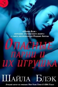 Обложка книги «Опасные парни и их игрушка»