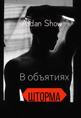 Обложка книги «В объятиях шторма»