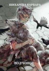 Обложка книги «Волчонок»