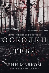 Обложка книги «Осколки тебя»