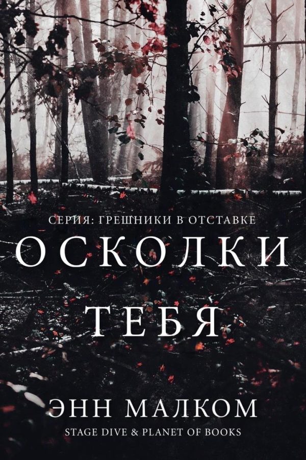Обложка книги «Осколки тебя»