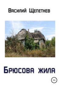 Обложка книги «Брюсова жила»