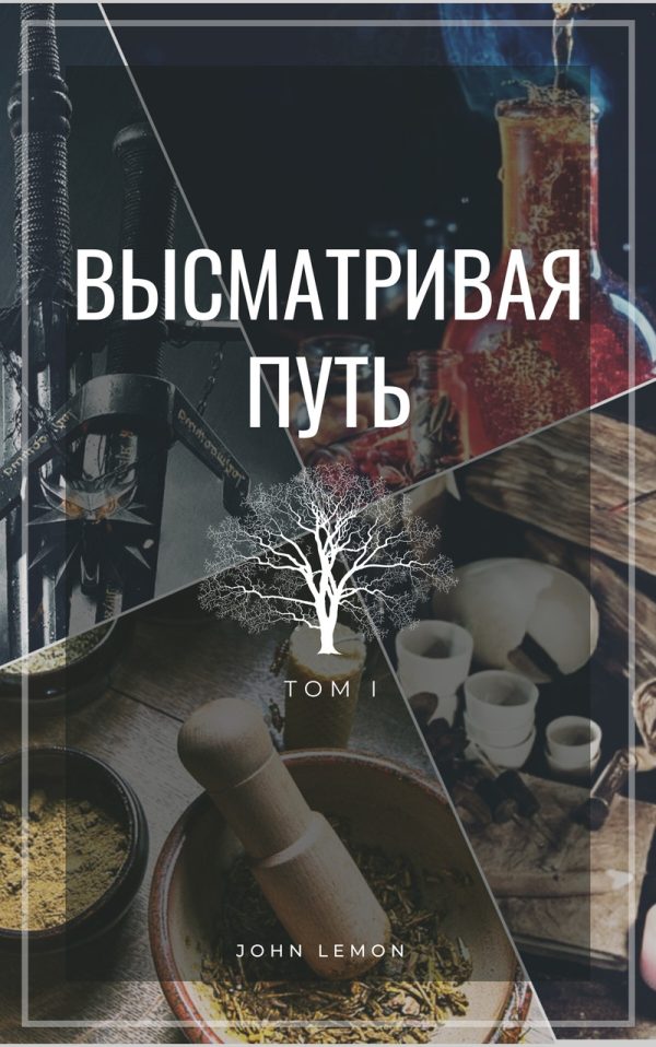 Обложка книги «Высматривая путь. Том I (СИ)»