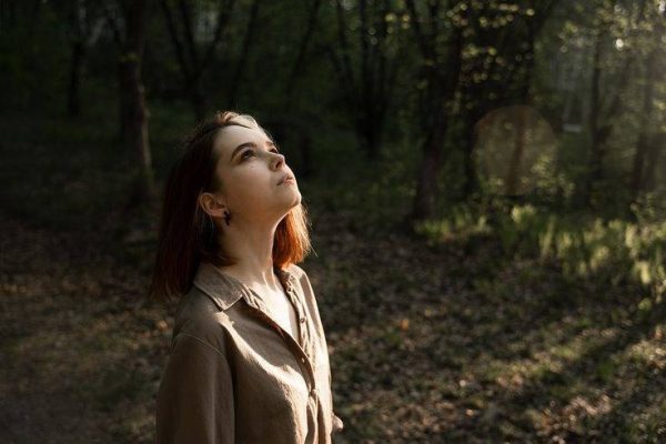 Обложка книги «Зеленое небо»