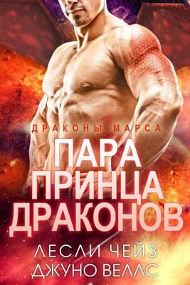 Обложка книги «Пара принца драконов»