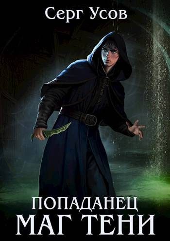 Обложка книги «Попаданец. Маг Тени. Книга 9»