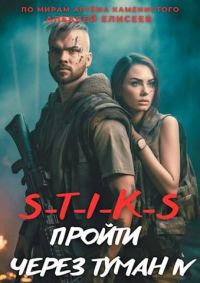 Обложка книги «Пройти через туман IV»