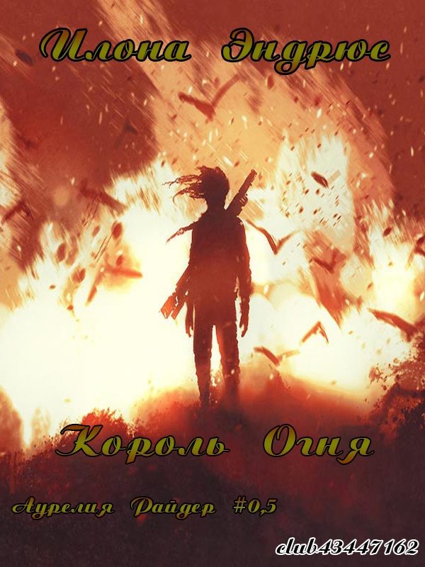 Обложка книги «Король огня»