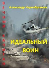 Обложка книги «Идеальный воин»