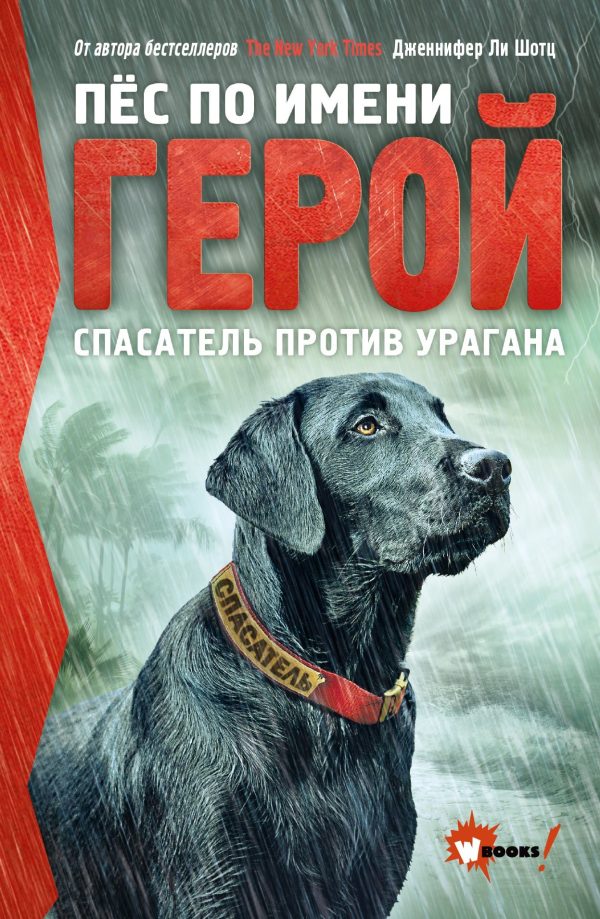 Обложка книги «Спасатель против урагана»