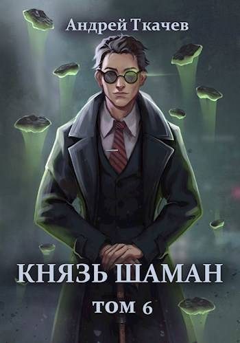 Обложка книги «Князь шаман. Том 6»