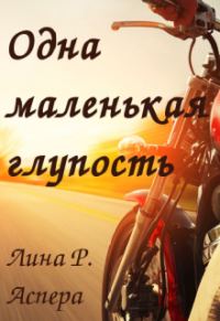 Обложка книги «Одна маленькая глупость»