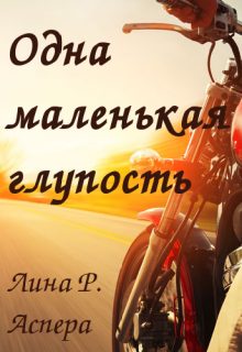 Обложка книги «Одна маленькая глупость»