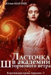 Обложка книги «Ласточка в Академии Штормового ветра»