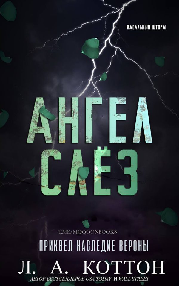 Обложка книги «Ангел слёз»