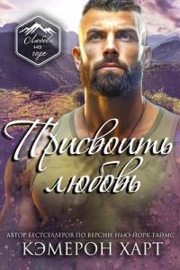 Обложка книги «Присвоить любовь»