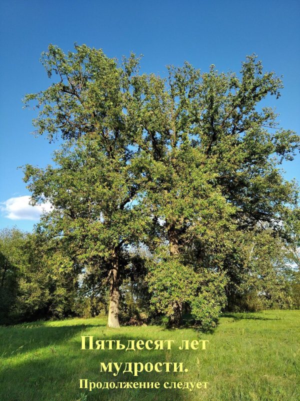 Обложка книги «Пятьдесят лет мудрости. Продолжение следует»