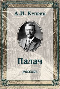 Обложка книги «Палач»