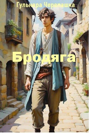 Обложка книги «Бродяга»