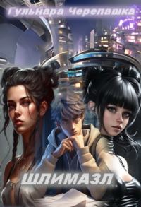Обложка книги «Шлимазл»