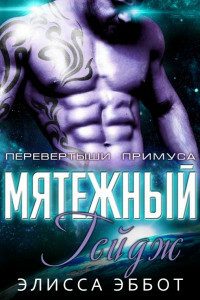Обложка книги «Бунтарь Гейдж»