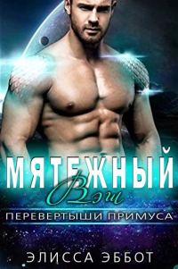 Обложка книги «Мятежный Вэш»