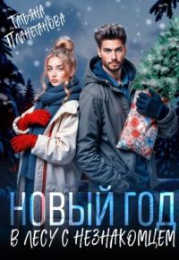 Обложка книги «Новый год в лесу с незнакомцем»