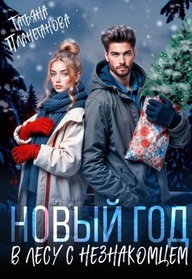 Обложка книги «Новый год в лесу с незнакомцем»