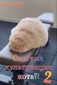 Обложка книги «Система культивации кота 2»
