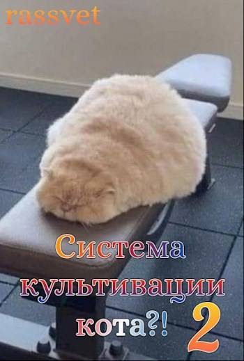 Обложка книги «Система культивации кота 2»