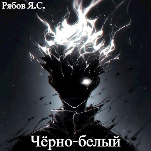 Обложка книги «Чёрно-белый»