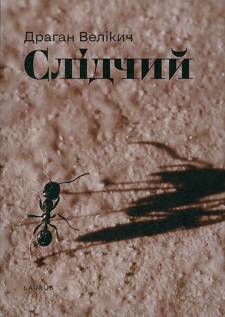 Обложка книги «Слідчий»